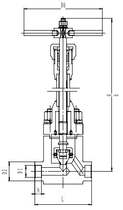 Криогенный запорный клапан CCK T651DA10-40 PN350