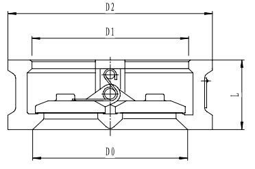 Криогенный обратный клапан T212DH80-500 PN20
