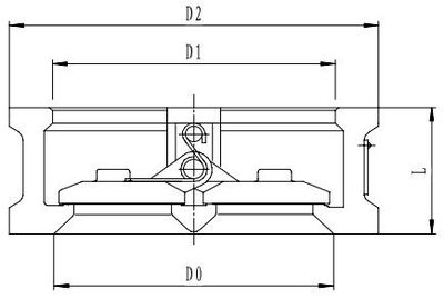 Криогенный обратный клапан T302DH250-300 PN40