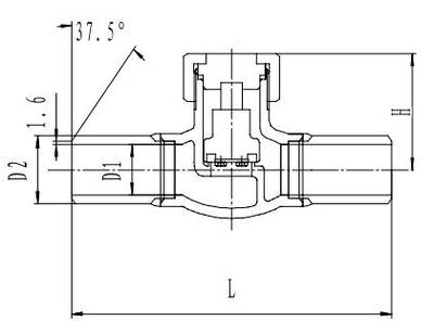 Криогенный обратный клапан T328DH10-40X PN40