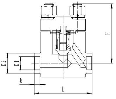 Криогенный обратный клапан T651DH10-40 PN350